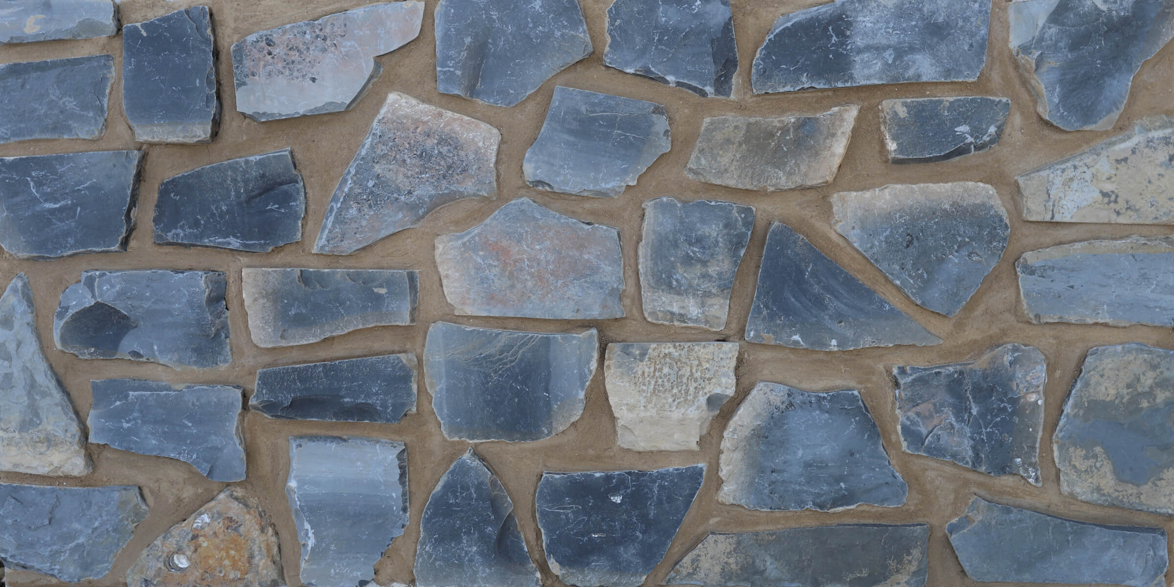 Blue Lias